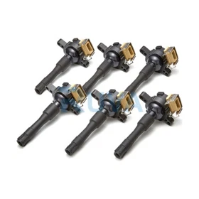 Ruva 6x Pencil Ignition Coil Packs Fits BMW X5 (E53) 3.0 - 5 YEAR WARRANTY Ruva 6x Pencil Ignition Coil Packs Fits BMW X5 (E53) 3.0 - 5 YEAR WARRANTY