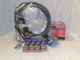 FORD LRG-425 GENIE JLG Snorkel Tune-up Kit  Plugs Wires PCV Oil Fuel Filter 2.5L