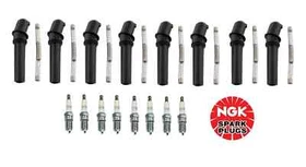 NGK PLATINUM Spark Plugs & Coil Boots Kit for Ford Mustang E150 F150 4.6L 5.4L