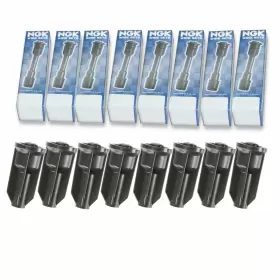 58921 NGK Ignition Coil Boots Qw 58921 NGK Ignition Coil Boots Qw