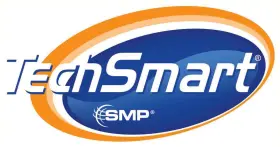 26902 TECHSMART Spark Plug Wire Set
