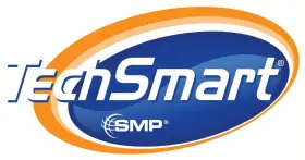 29848 TECHSMART Spark Plug Wire Set
