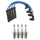 NGK Wire Set & Denso 4 Platinum TT Spark Plugs Kit for SC1 SL SL1 SW1 Base L4 NA
