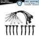 Engine Ignition Coil & Spark Plug Wire Kit Set Direct fit for F250 V8 6.2L