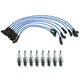 NGK Wire Set & Denso 8 Standard Spark Plugs Kit for Range Rover 4.0L 4.6L V8 NGK Wire Set & Denso 8 Standard Spark Plugs Kit for Range Rover 4.0L 4.6L V8