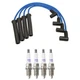 NGK Wire Set & Denso 4 Double Platinum Spark Plug Kit for SC1 SL SL1 SW1 Base L4