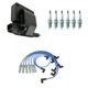 NGK Ignition Coil Wires 6 Platinum Spark Plugs Kit For Dakota Ram 1500 3.9 V6