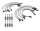 Denso Wire Set 8mm & 8 U-Groove Spark Plug 0.032 Kit For Ford 5.8L V8 Vin D