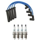 NGK Wire Set & Denso 4 Iridium TT Spark Plugs Kit for SC1 SL SL1 SW1 Base 1.9 L4