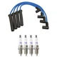NGK Wire Set & Denso 4 Double Platinum Spark Plug Kit for SC1 SL SL1 SW1 Base L4