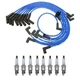 NGK Ignition Kit For Ford