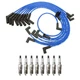 NGK Ignition Kit For Ford