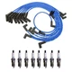 NGK Ignition Kit For Ford