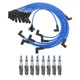 NGK Ignition Kit For Ford
