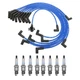 NGK Ignition Kit For Ford