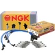 NGK Wire 8 Standard Spark Plugs Kit For Land Rover Discovery Series II 4.0 V8 NGK Wire 8 Standard Spark Plugs Kit For Land Rover Discovery Series II 4.0 V8