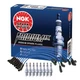 NGK Spark Plug Wires & 8 Iridium IX Spark Plugs Kit For Land Rover Discovery V8 NGK Spark Plug Wires & 8 Iridium IX Spark Plugs Kit For Land Rover Discovery V8