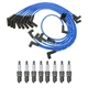 NGK Ignition Kit For Ford