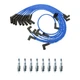 NGK Ignition Kit For Ford