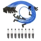 NGK Ignition Kit For Ford