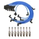 NGK Ignition Kit For Ford