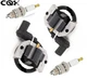 2 Pack Kawasaki 21171-0745 Ignition Coil For FH601V FH641V FH661V FH680V FH721V