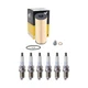 Wix Engine Oil Filter NGK 6 Standard Spark Plugs kit for W124 300CE 300E L6 24V Wix Engine Oil Filter NGK 6 Standard Spark Plugs kit for W124 300CE 300E L6 24V