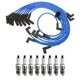 NGK Ignition Kit For Ford