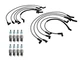 Denso Wire Set 8mm & 8 Iridium Power Spark Plug 0.044 Kit For Ford 5.0L V8 VIN D