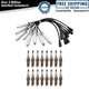 TRQ Ignition Kit Spark Plug & Wire Set For Ford F250 F350 Pickup Truck 6.2L