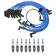 NGK Ignition Kit For Ford