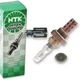 NGK NTK Upstream O2 Oxygen Sensor for 1979-1986 Ford LTD 3.8L V6 3.3L L6 go NGK NTK Upstream O2 Oxygen Sensor for 1979-1986 Ford LTD 3.8L V6 3.3L L6 go