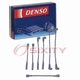 Denso Spark Plug Wire Set for 1970-1977 American Motors Hornet 3.3L 3.8L ch Denso Spark Plug Wire Set for 1970-1977 American Motors Hornet 3.3L 3.8L ch